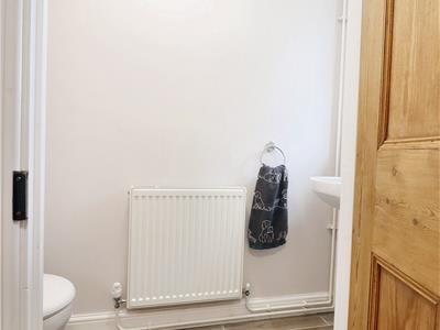 Picture 19